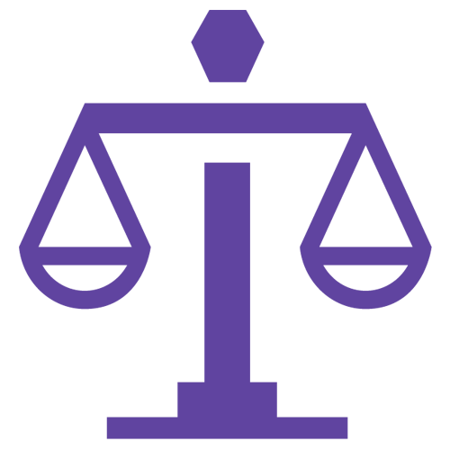 legal support icon