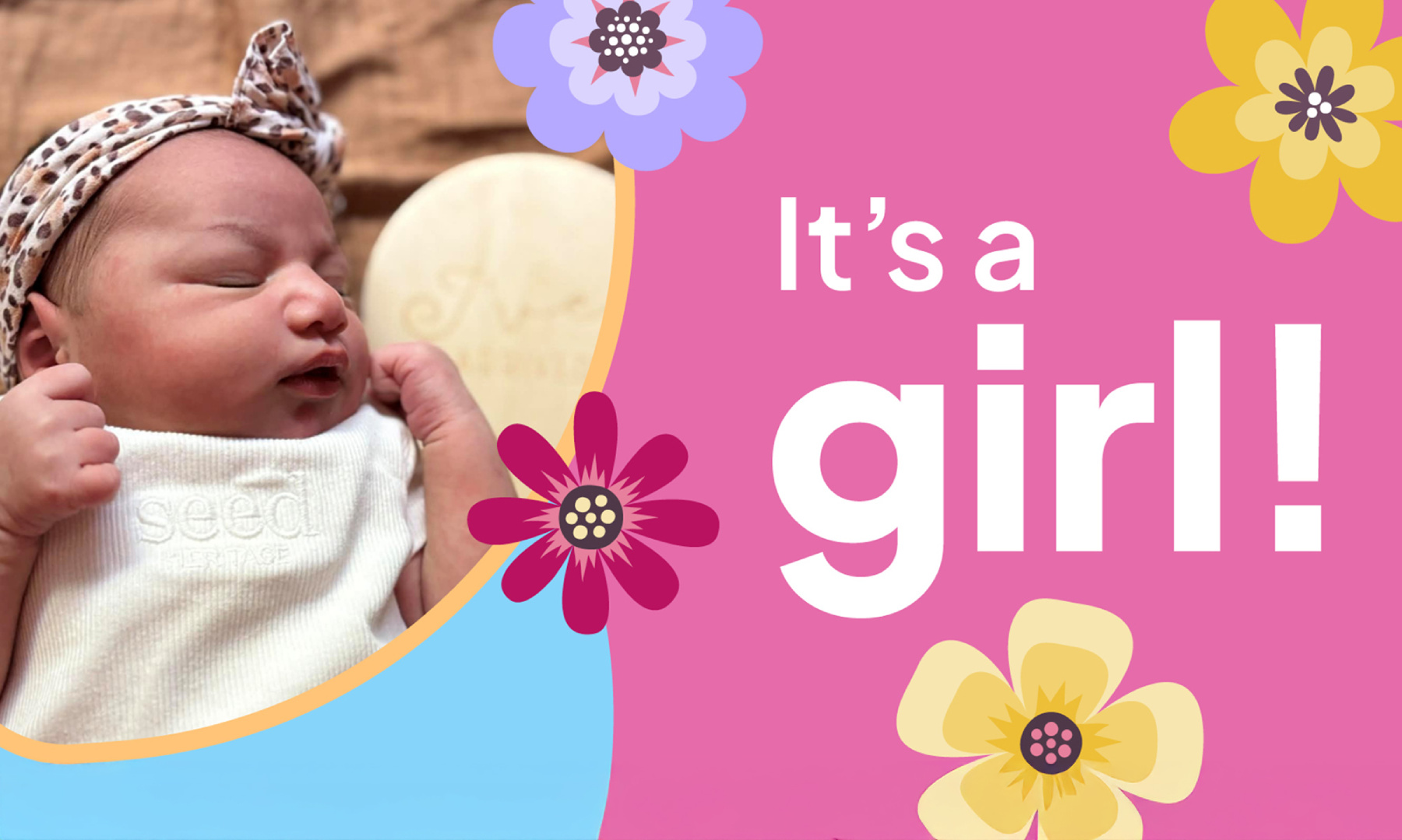 baby zara banner